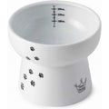 Raised Cat Water Bowl with Measurement Lines A22167