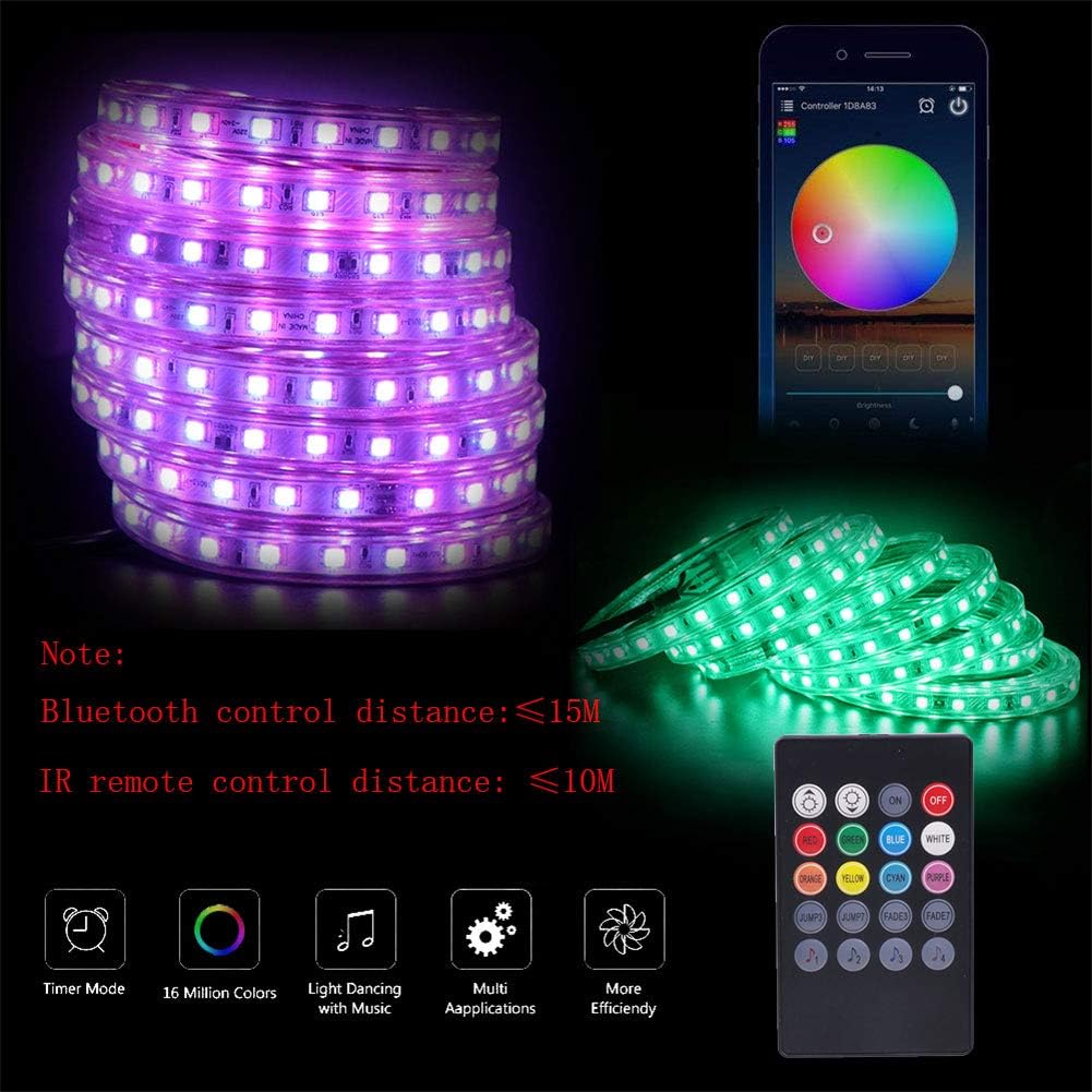 LED Strip Lights with 20Key IR Remote, 164ft/50m P833