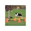 Dog Agility Hurdle Cone Set U5542