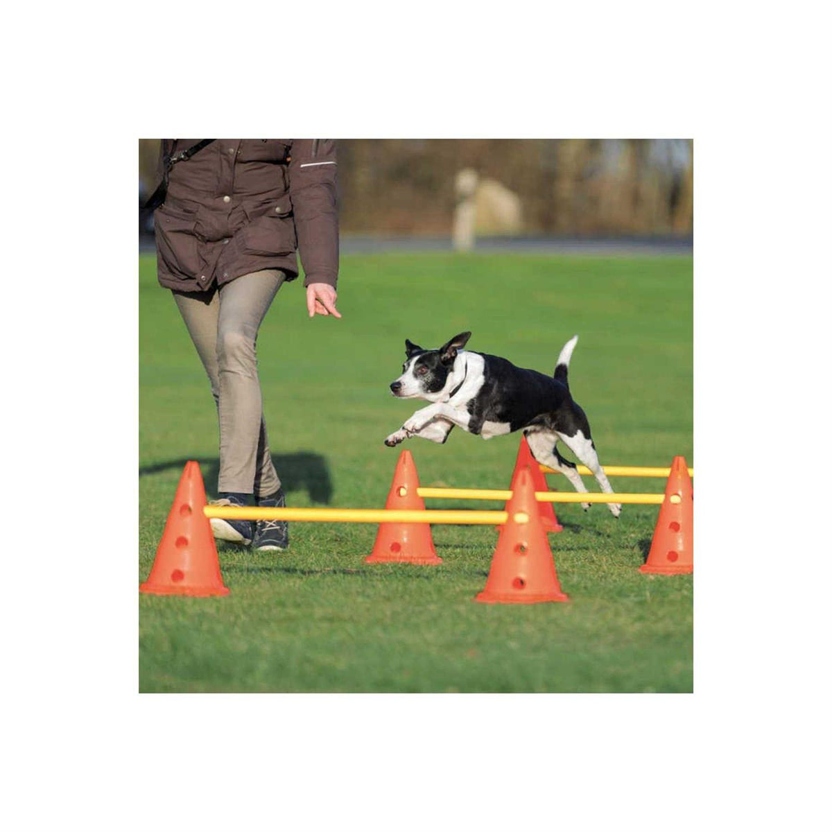 Dog Agility Hurdle Cone Set U5542
