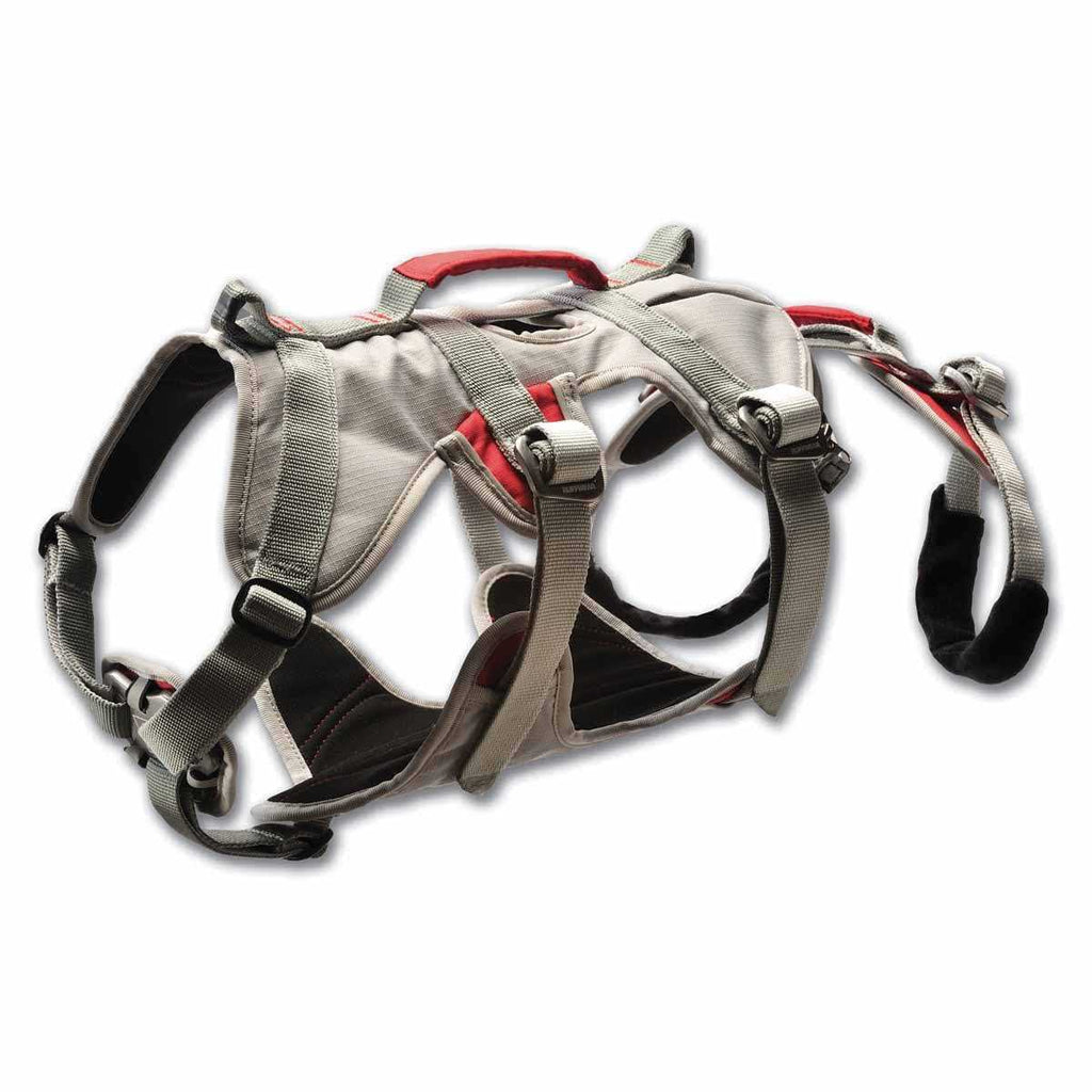 Doubleback Harness G338151