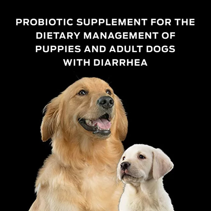 Probiotic Supplement for Dogs, 30 Sachets A300183