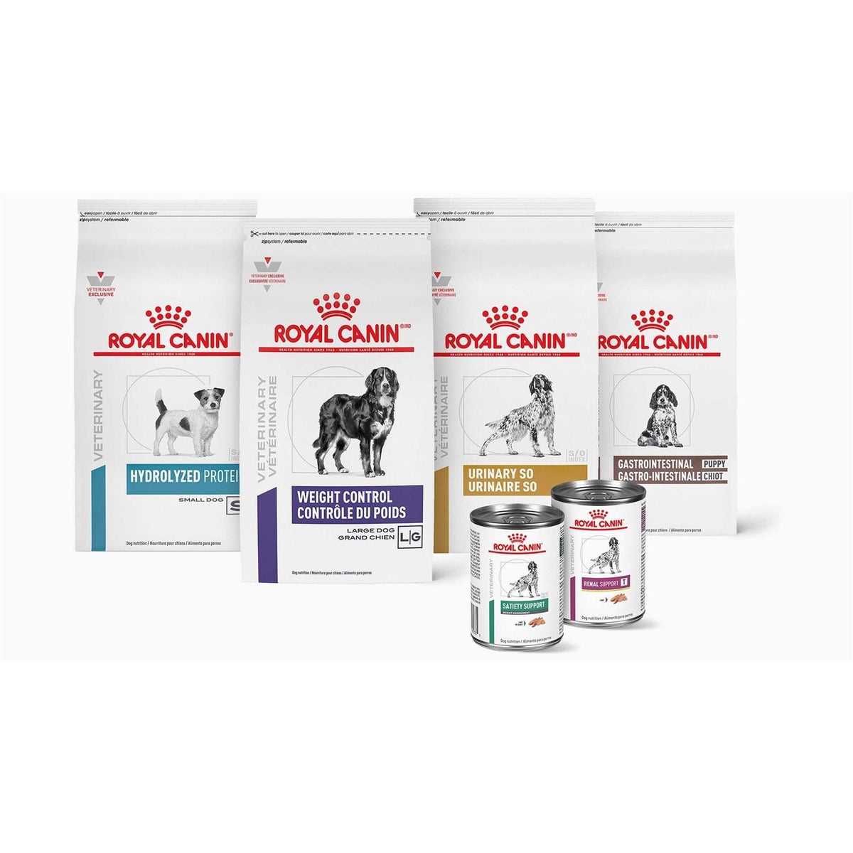 Aging 7+ Dry Dog Food C253983