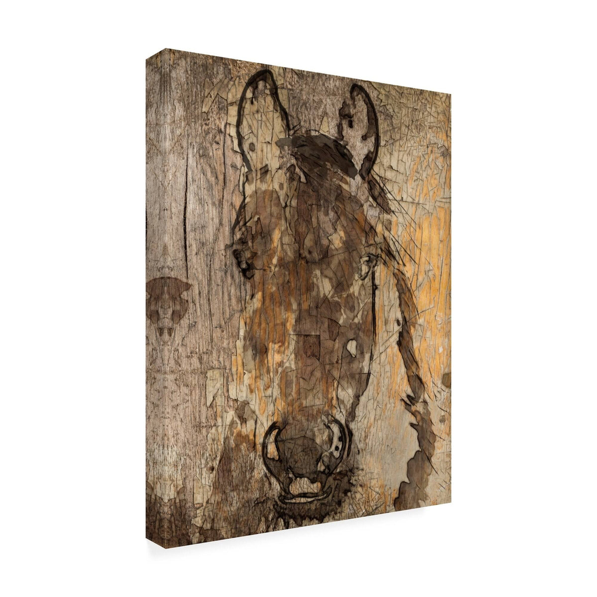 24x32 Canvas Art Z1511