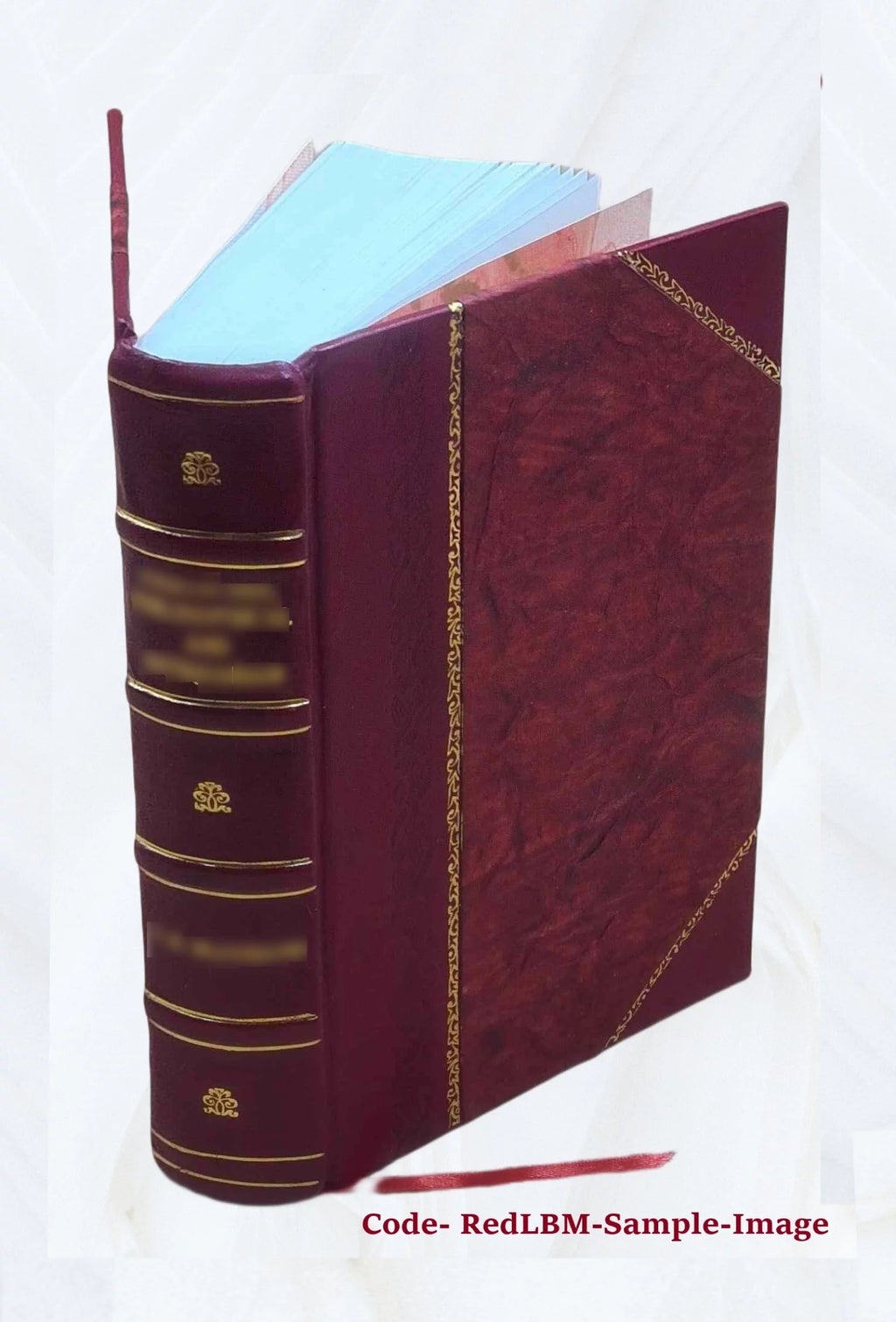 Leather Bound Book Z43104