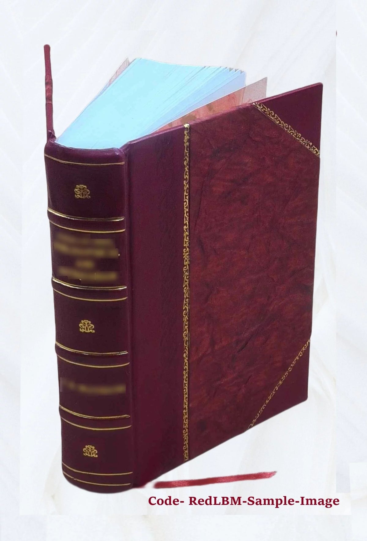 Leather Bound Book Z43104