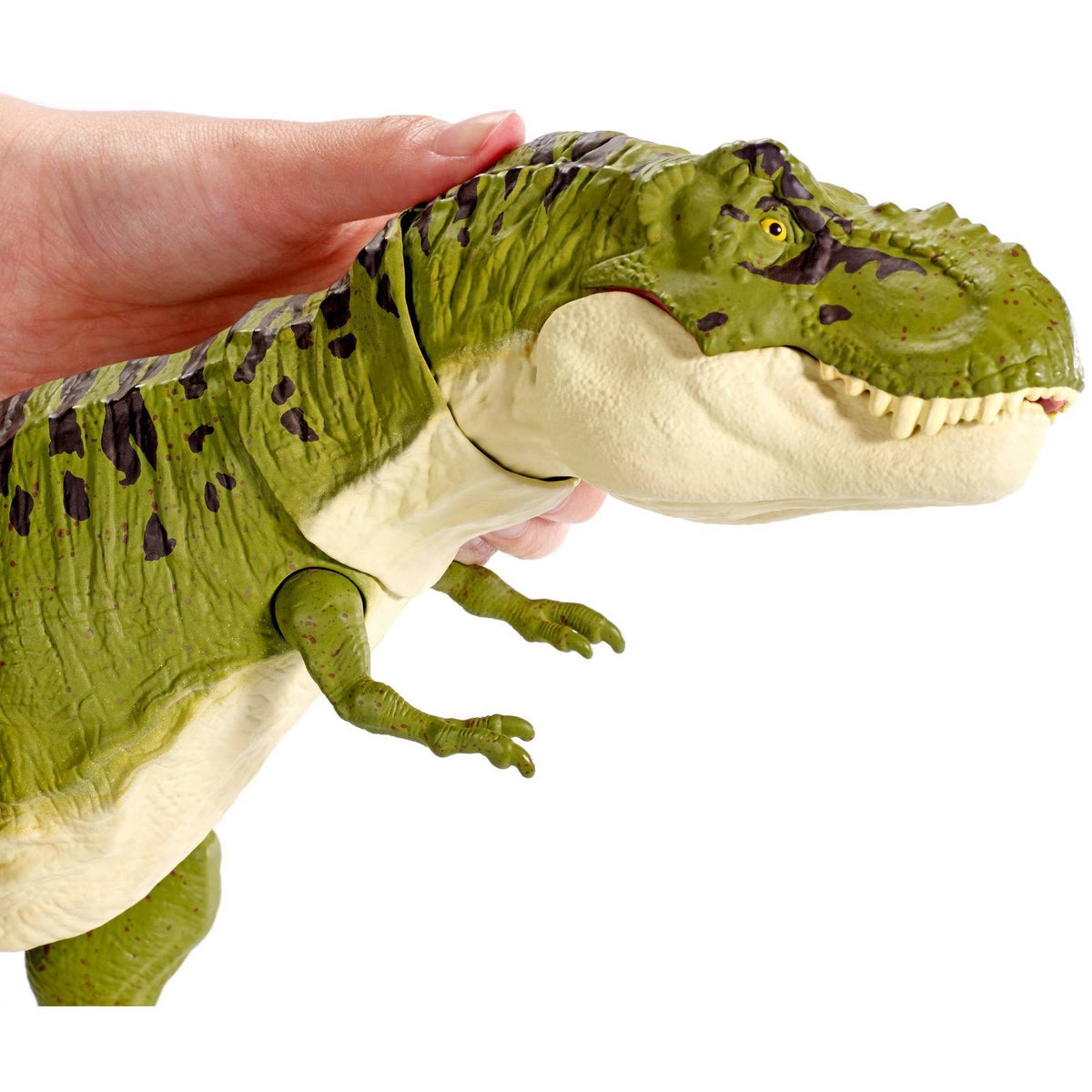 Tyrannosaurus Rex Pack A5019