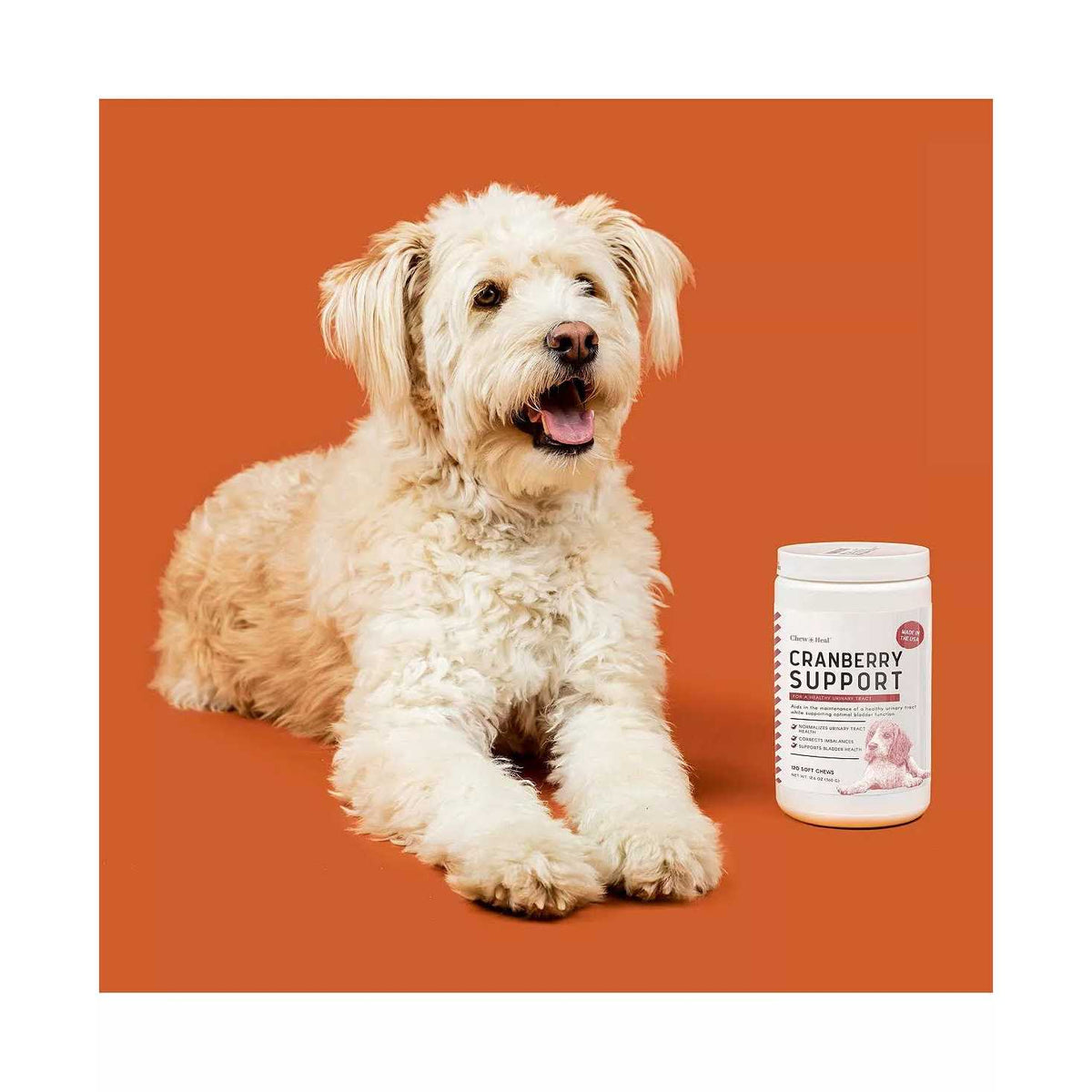 Cranberry Chews for Dogs G48784