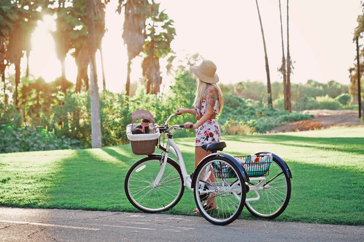 Blue Folding Adult Trike D2003