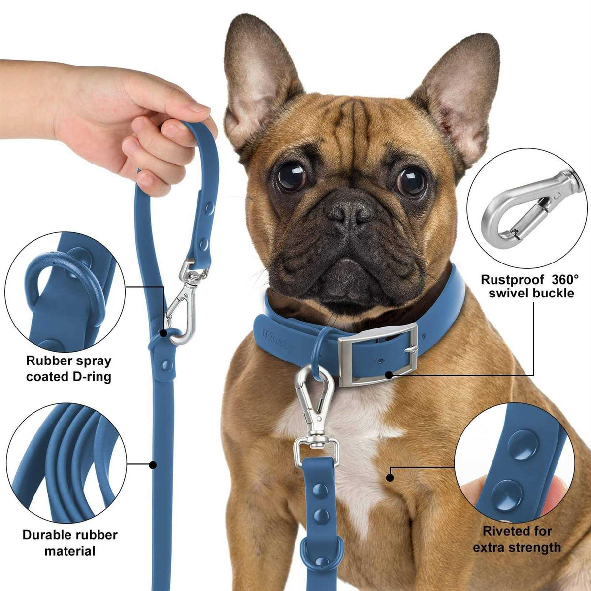 Waterproof Dog Leash with 2 Hooks V765106