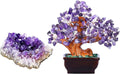 Amethyst Clusters Raw Geode Crystals Stone and Purple Healing Crystal Gem Money Tree Z286