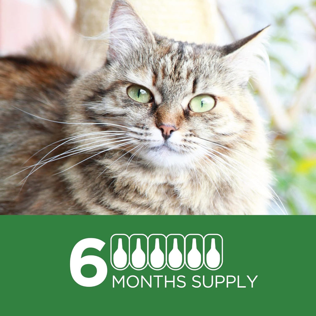 6 Doses Flea Treatment for Large Cats 9+ lbs P54082