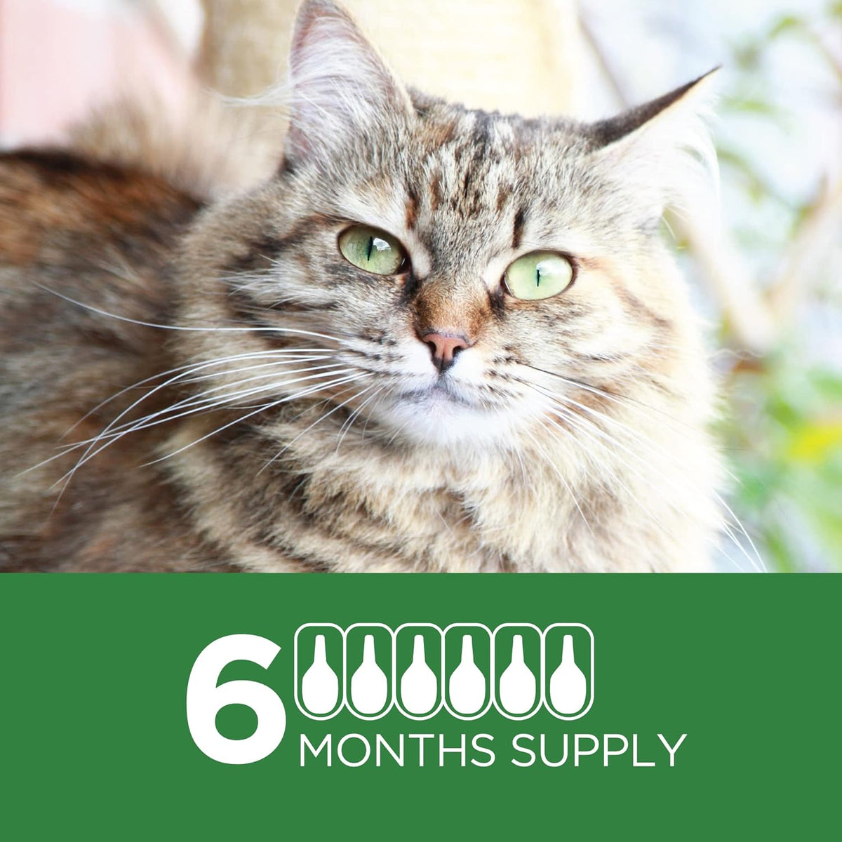 6 Doses Flea Treatment for Large Cats 9+ lbs P54082