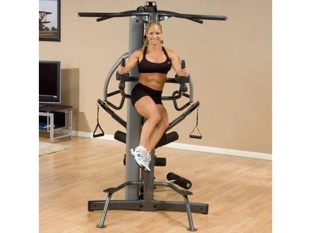 Vertical Knee-Raise/Dip Station H4316