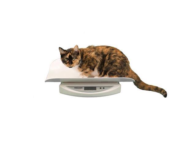 Portable Digital Pediatric Scale Y1082
