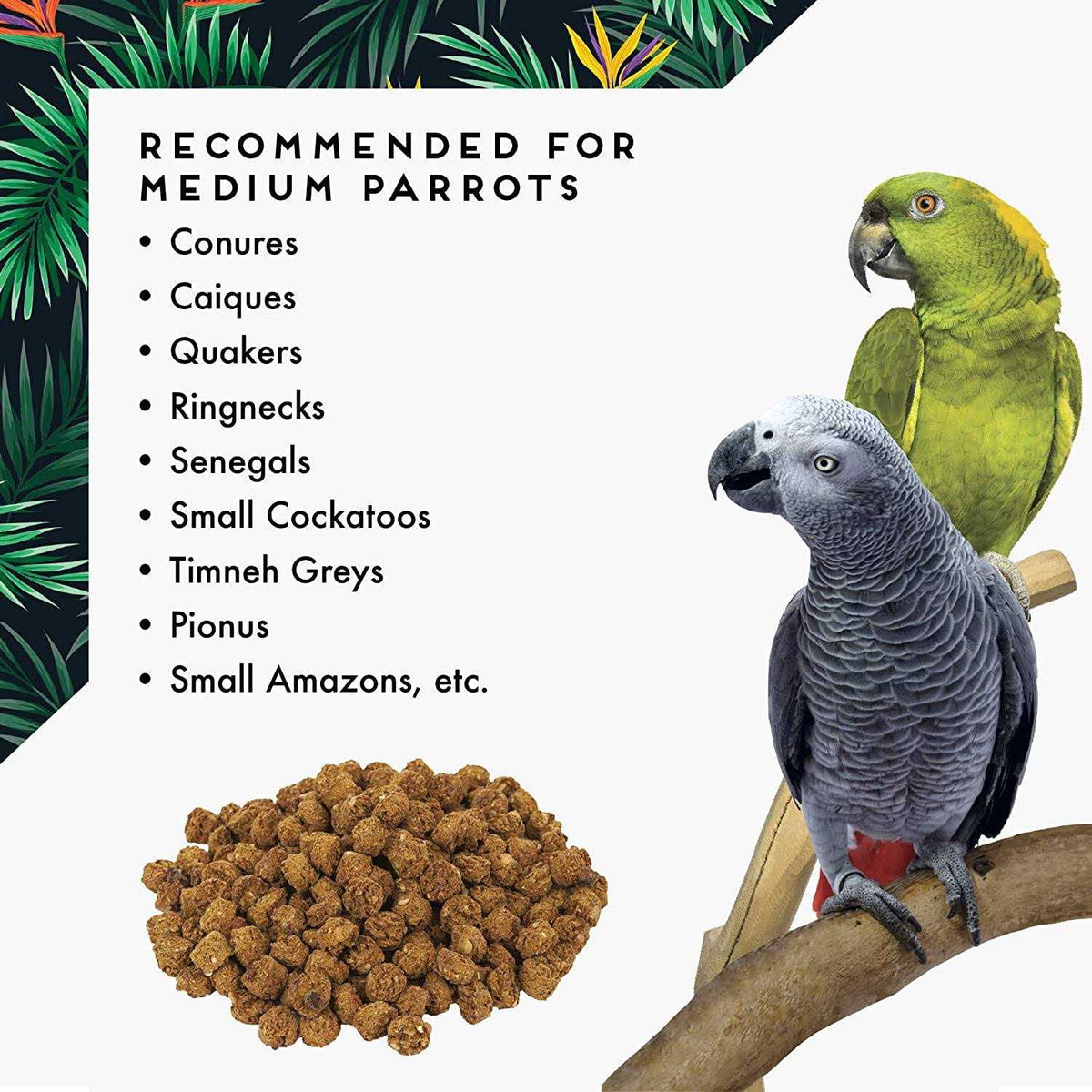 Oven Fresh Bites Large Pet Supplies M42338