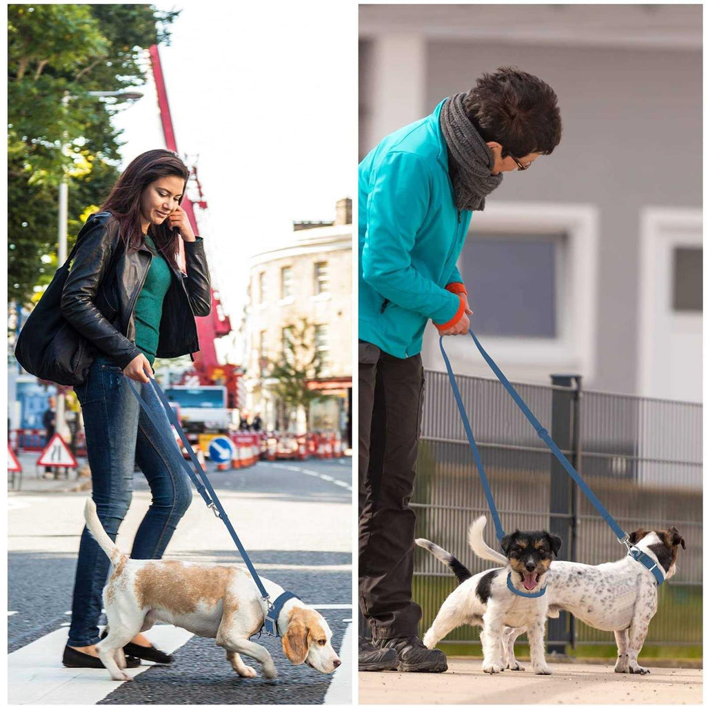 Waterproof Dog Leash with 2 Hooks V765106