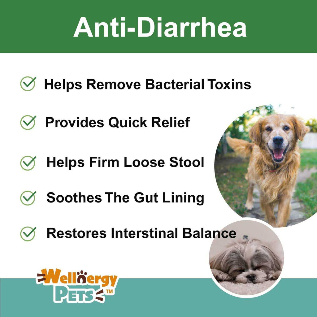 Anti-Diarrhea for Dogs & Cats F636