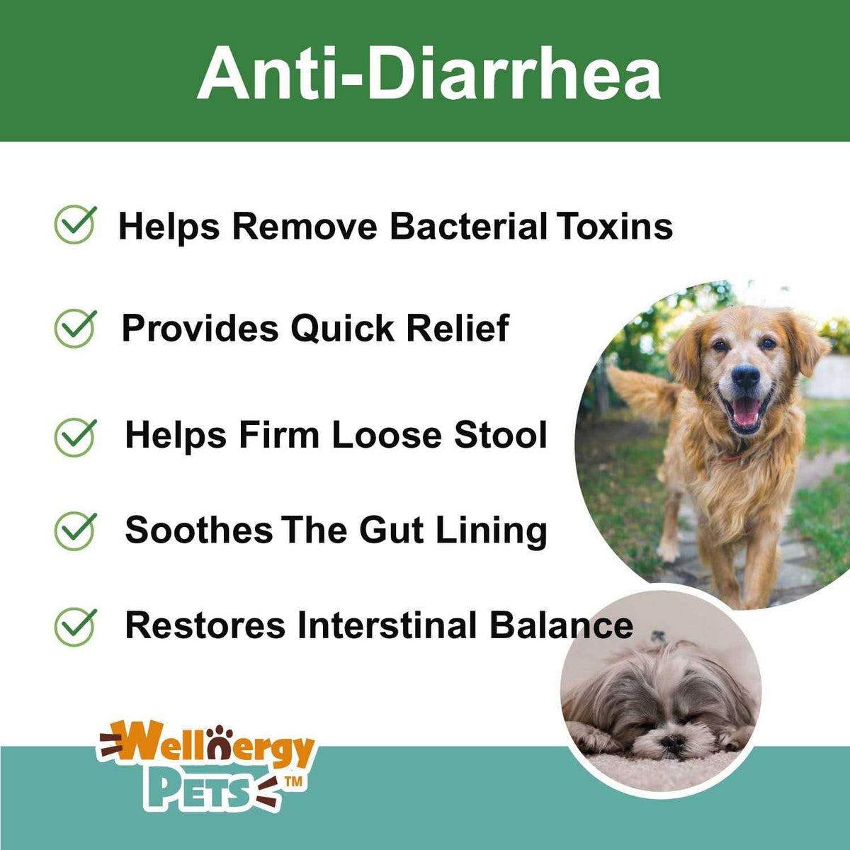 Anti-Diarrhea for Dogs & Cats F636