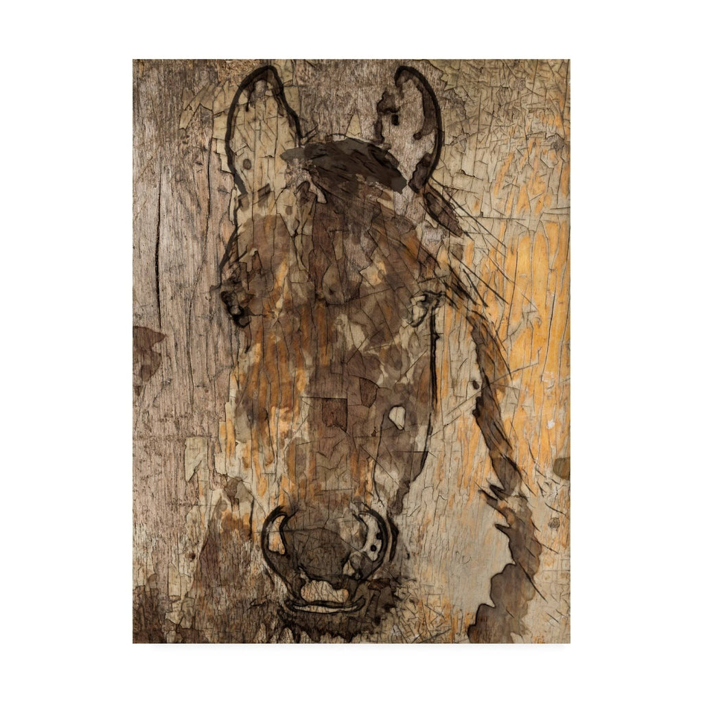 24x32 Canvas Art Z1511
