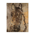 24x32 Canvas Art Z1511