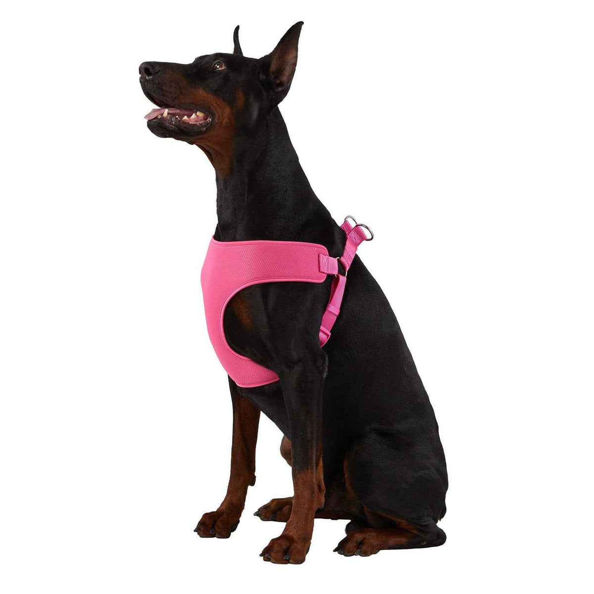 Mesh Dog Harness B886354