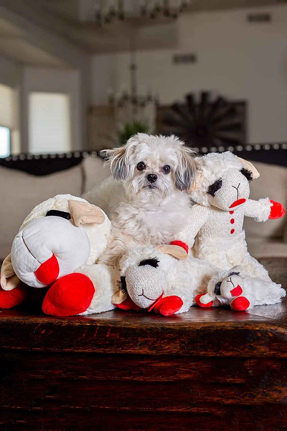 White Plush Dog Toy D818