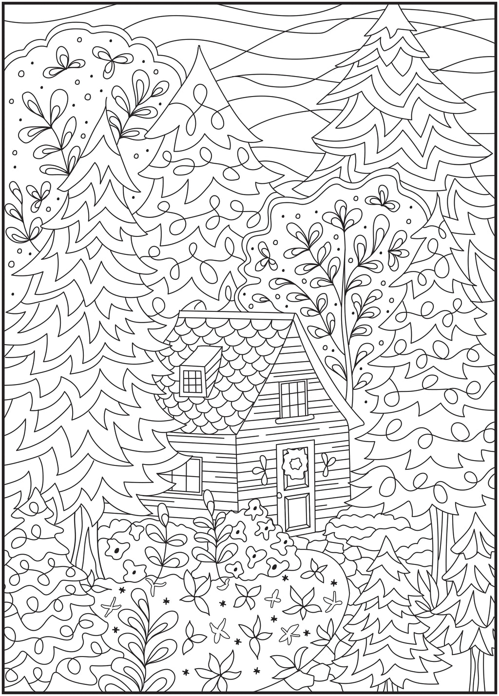 64 Pages Adult Coloring Book O68517