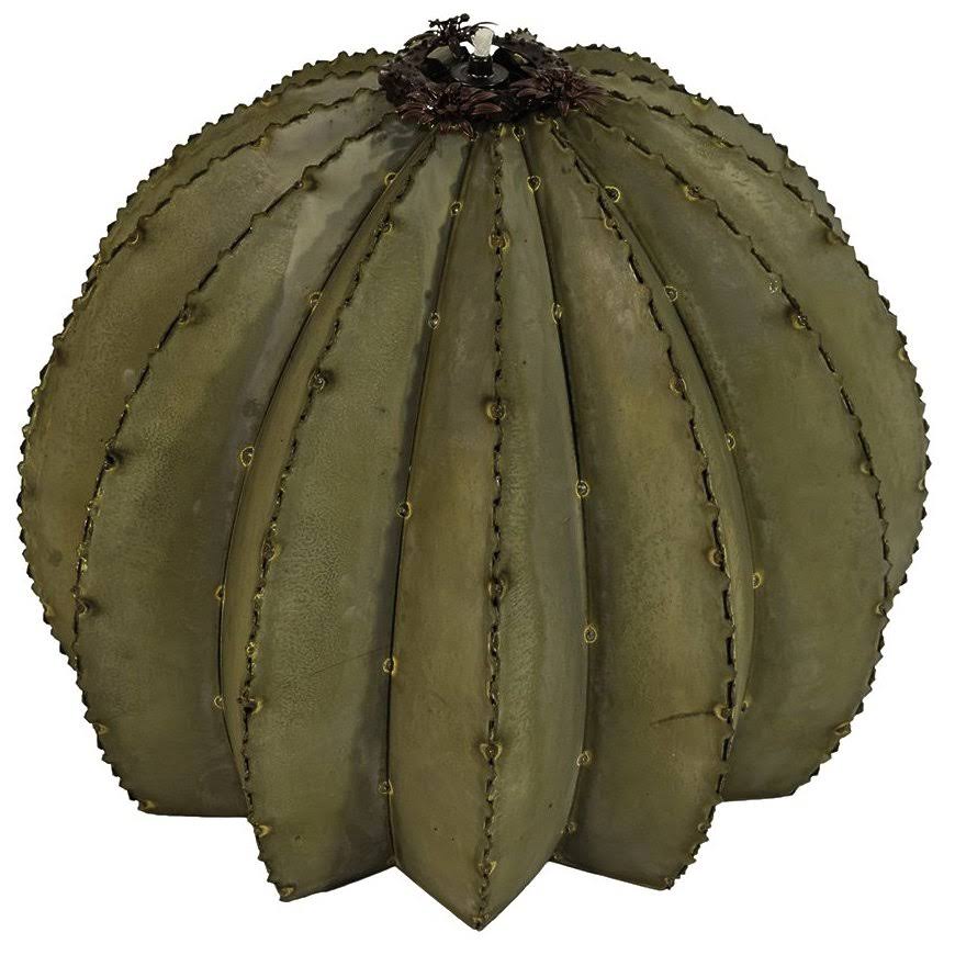 Golden Barrel Cactus Torch A389096
