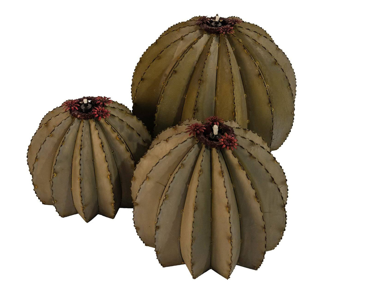 Golden Barrel Cactus Torch A389096