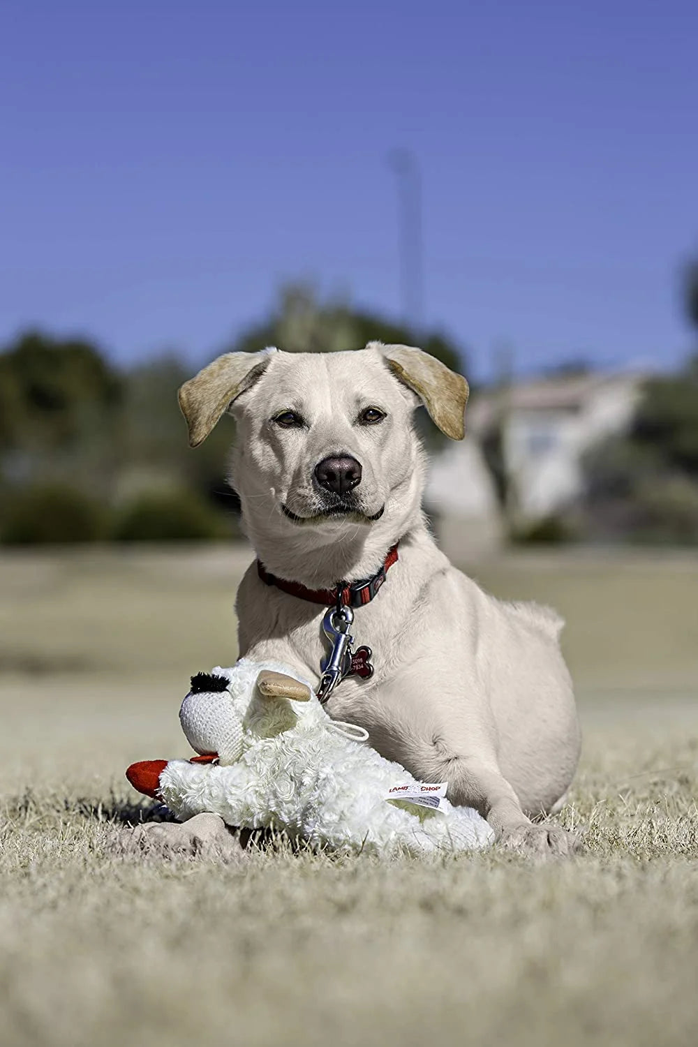 White Plush Dog Toy D818