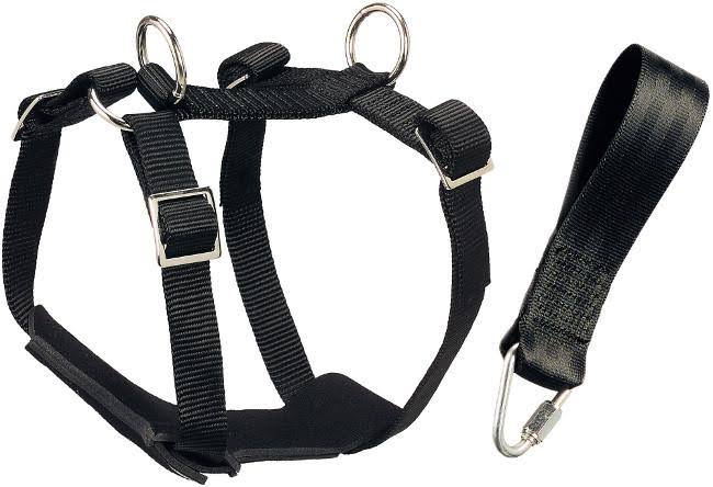 Car Safety Harness Black T4243