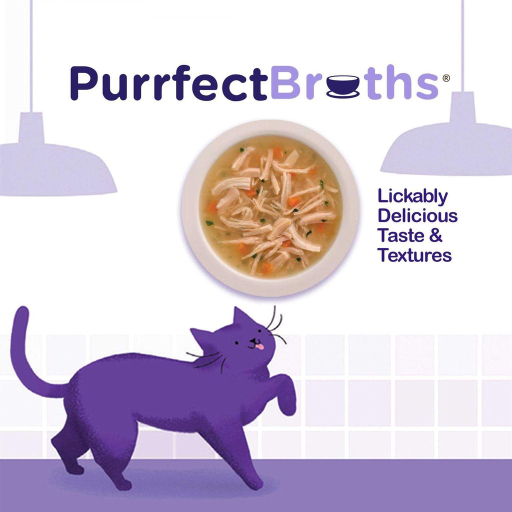 Cat Food B421161