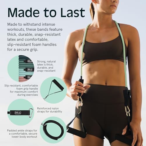 Resistance Bands Set 5pc with Handles, Door Anchor, Carry Bag R74959
