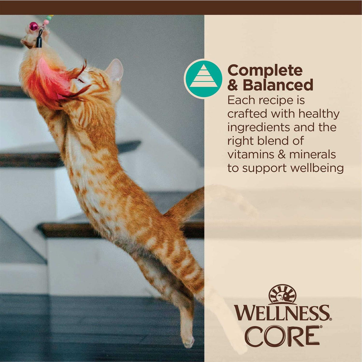 Flaked Wet Cat Food P9910