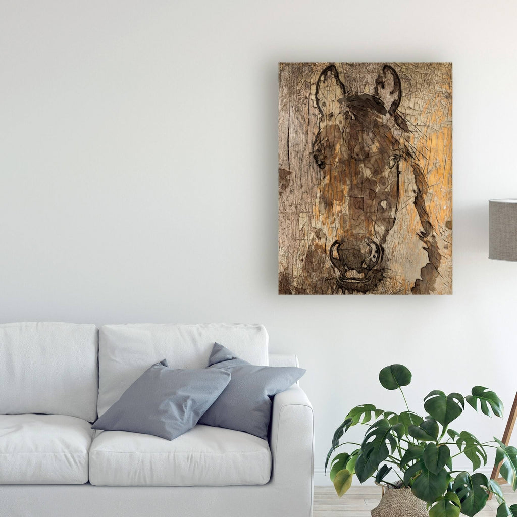 24x32 Canvas Art Z1511