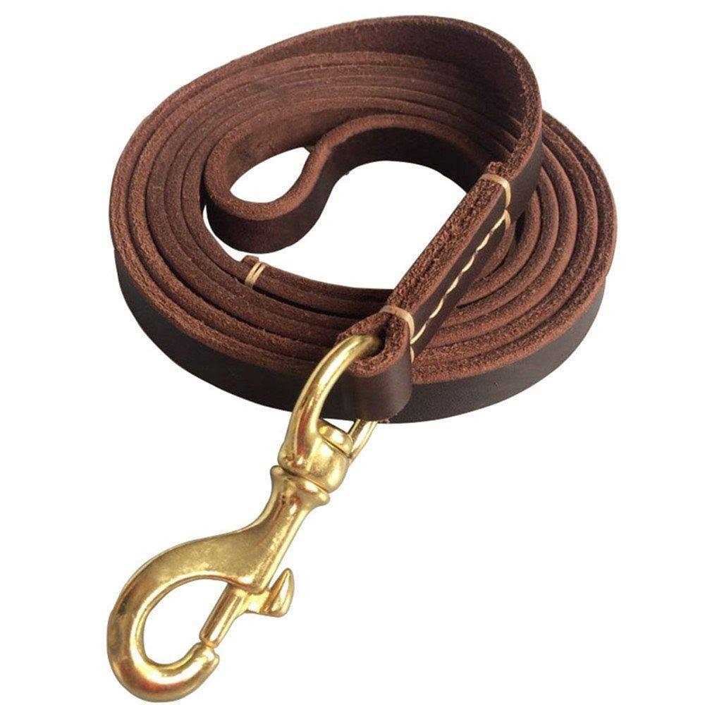 Leather 6 Foot Braided Dog Leash O4278