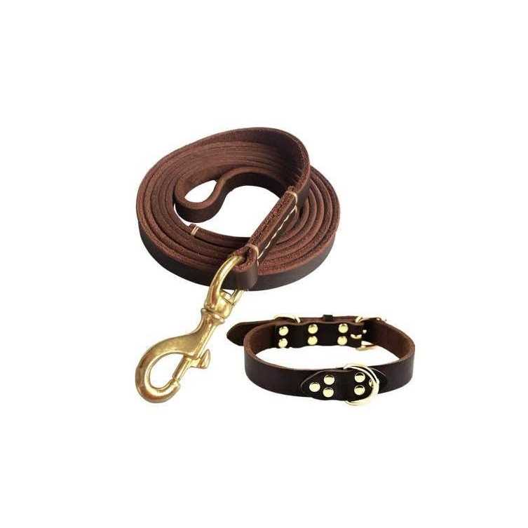 Leather 6 Foot Braided Dog Leash O4278
