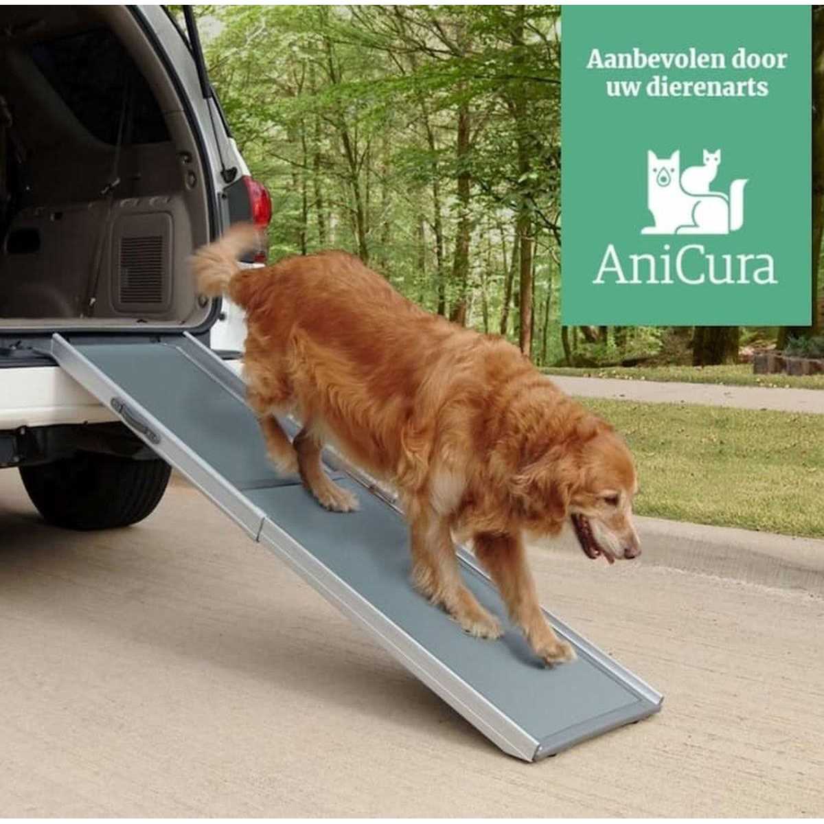 Telescoping Ramp J512