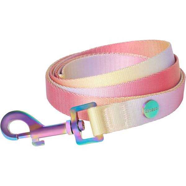 Dog Leash J53291