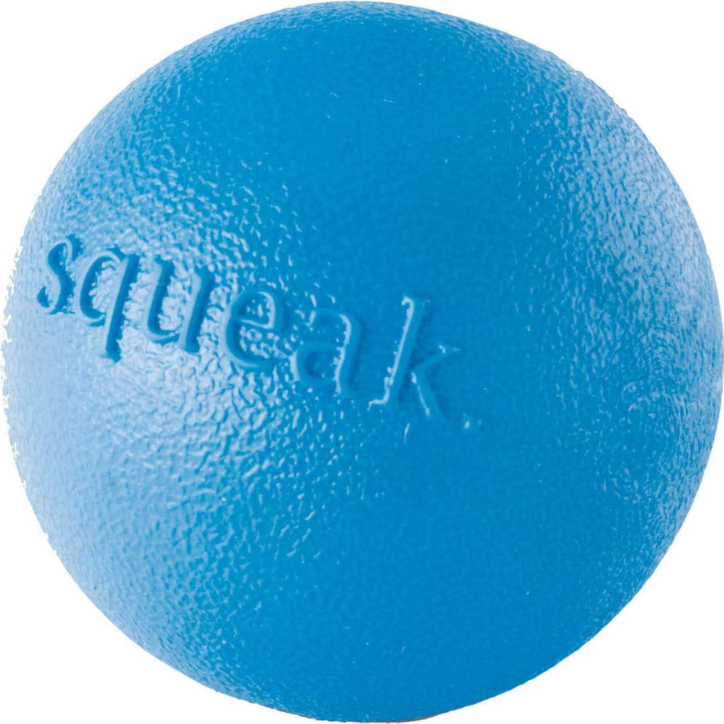 Squeak Toy Ball W95748