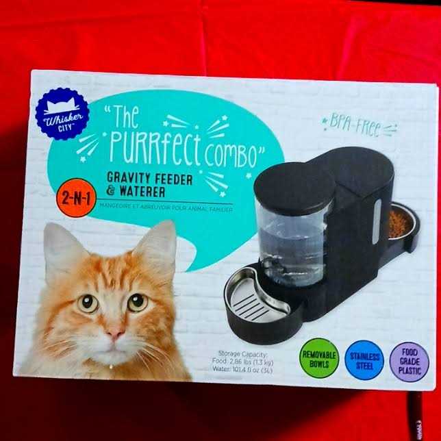 Black Cat Feeder E48765