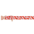 Adjustable Neoprene Dog Collar P2736