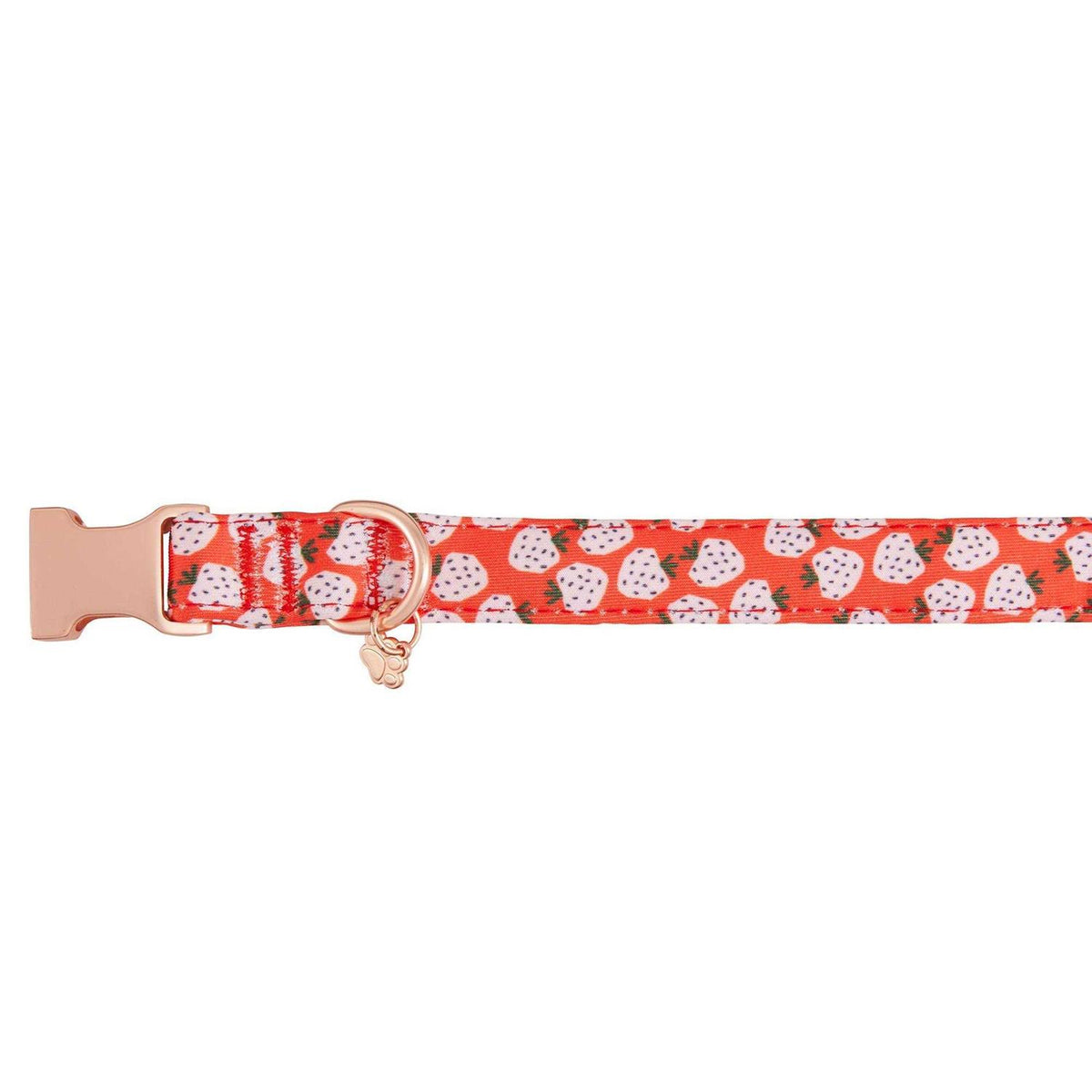 Adjustable Neoprene Dog Collar P2736